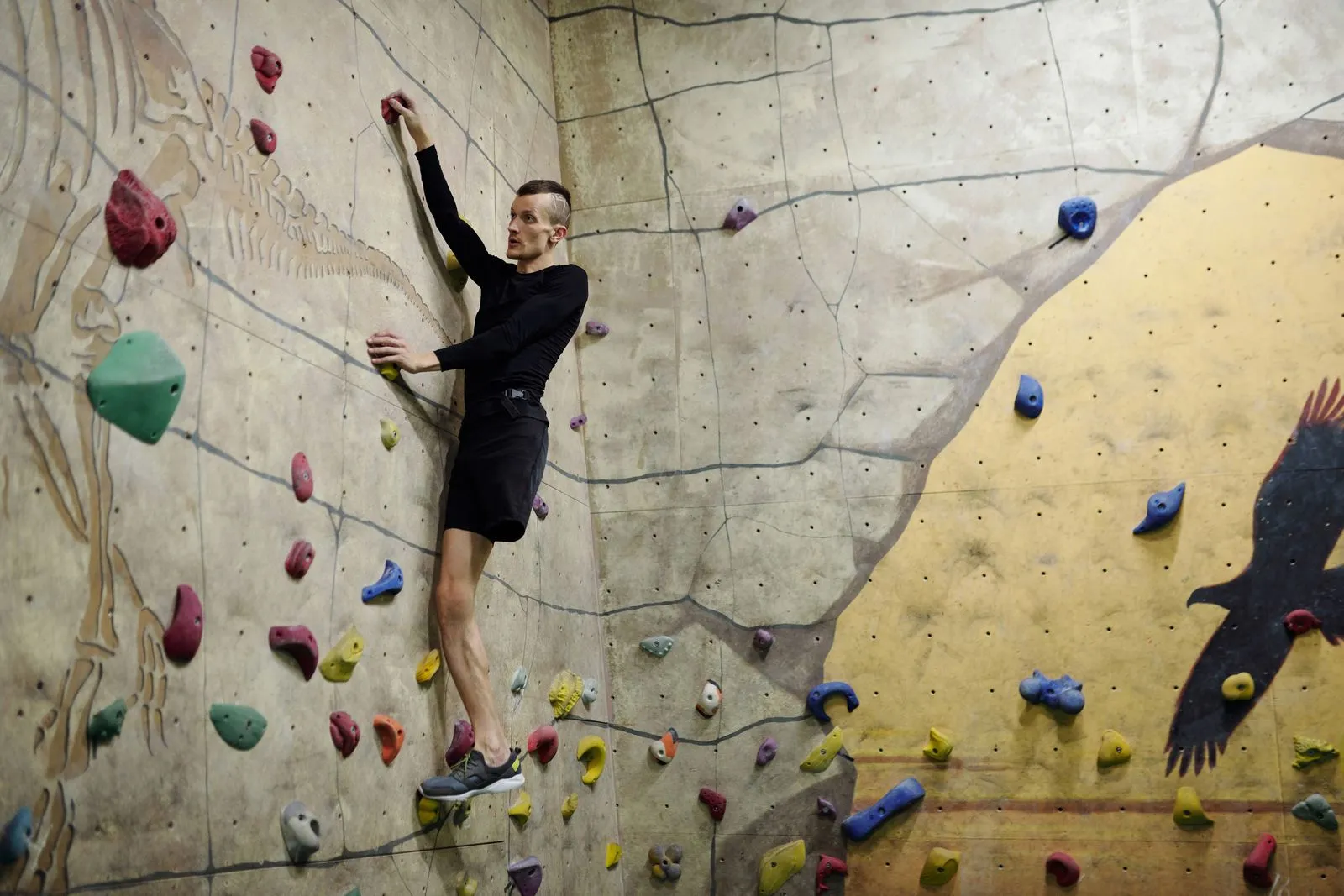 Questions to Ask Before Choosing a Climbing Gym